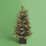 42″ Mountain Fir Potted Tree
